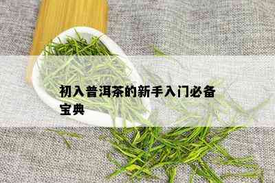 初入普洱茶的新手入门必备宝典