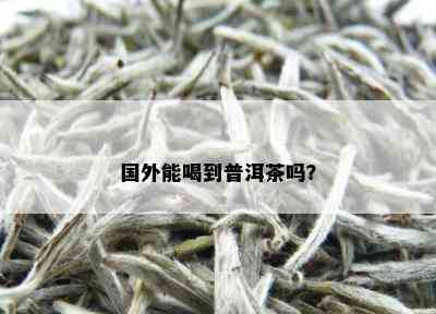 国外能喝到普洱茶吗？