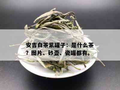 安吉白茶紫罐子：是什么茶？图片、砂壶、瓷罐都有。