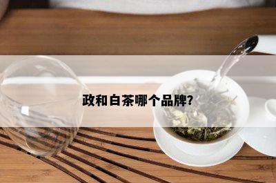 政和白茶哪个品牌？