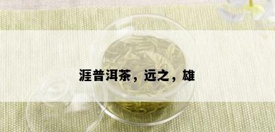 涯普洱茶，远之，雄