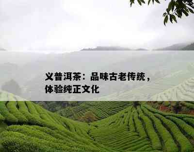 义普洱茶：品味古老传统，体验纯正文化