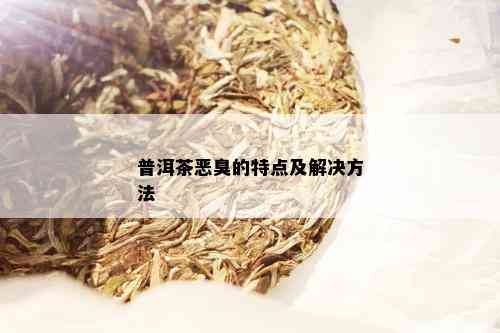 普洱茶恶臭的特点及解决方法