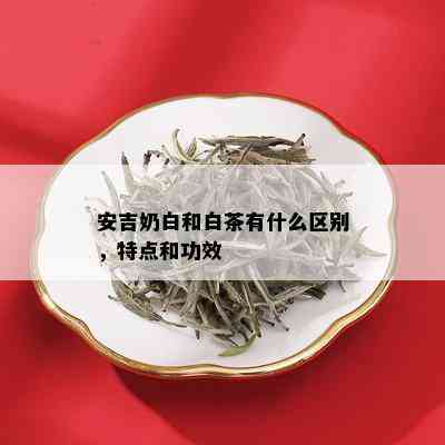 安吉奶白和白茶有什么区别，特点和功效