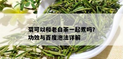 菊可以和老白茶一起煮吗？功效与百度泡法详解