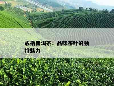 戒指普洱茶：品味茶叶的独特魅力