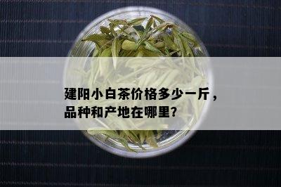 建阳小白茶价格多少一斤，品种和产地在哪里？