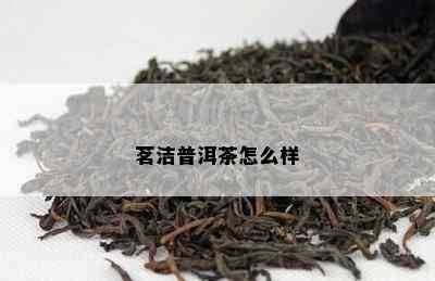 茗洁普洱茶怎么样