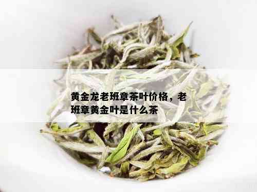 黄金龙老班章茶叶价格，老班章黄金叶是什么茶