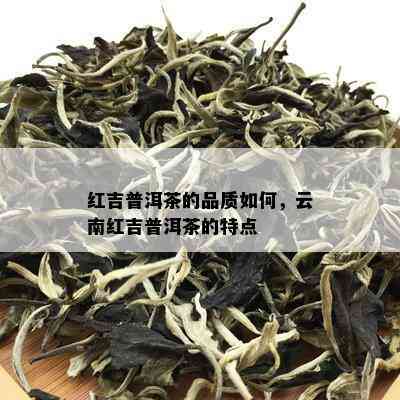 红吉普洱茶的品质如何，云南红吉普洱茶的特点