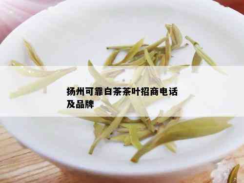 扬州可靠白茶茶叶招商电话及品牌