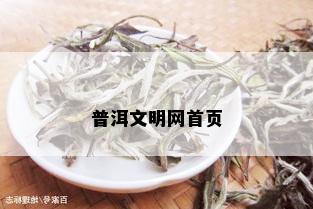 普洱文明网首页