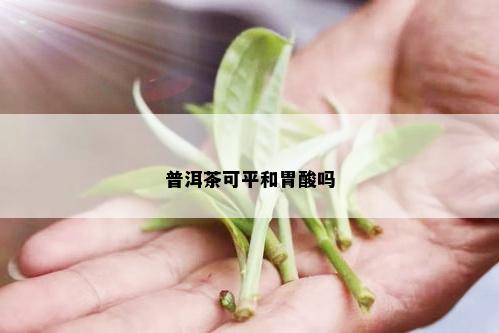 普洱茶可平和胃酸吗