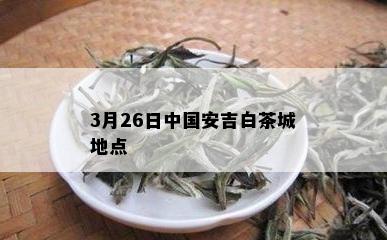 3月26日中国安吉白茶城地点