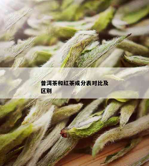 普洱茶和红茶成分表对比及区别