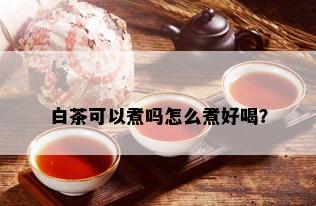 白茶可以煮吗怎么煮好喝？