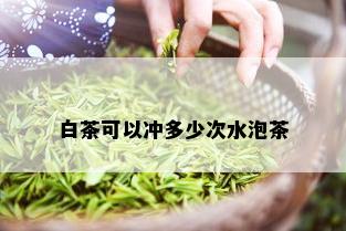 白茶可以冲多少次水泡茶