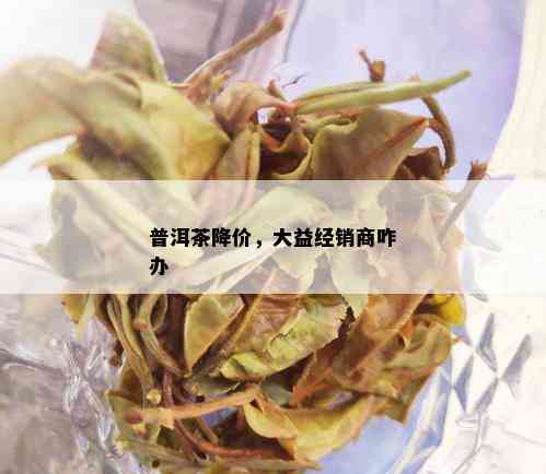 普洱茶降价，大益经销商咋办