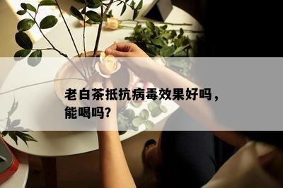 老白茶抵抗病效果好吗，能喝吗？