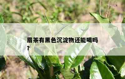 眉茶有黑色沉淀物还能喝吗？