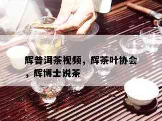 辉普洱茶视频，辉茶叶协会，辉博士说茶