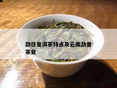 勐往普洱茶特点及云南勐普茶业