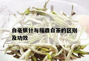 白毫银针与福鼎白茶的区别及功效