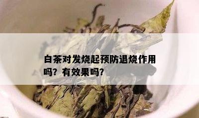 白茶对发烧起预防退烧作用吗？有效果吗？