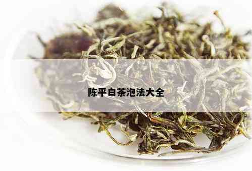 陈平白茶泡法大全