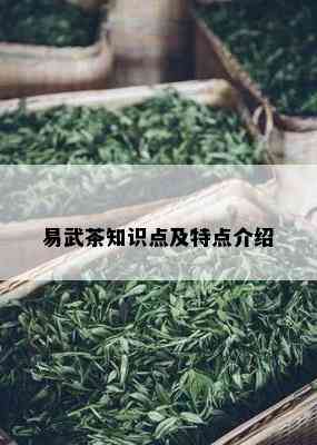 易武茶知识点及特点介绍