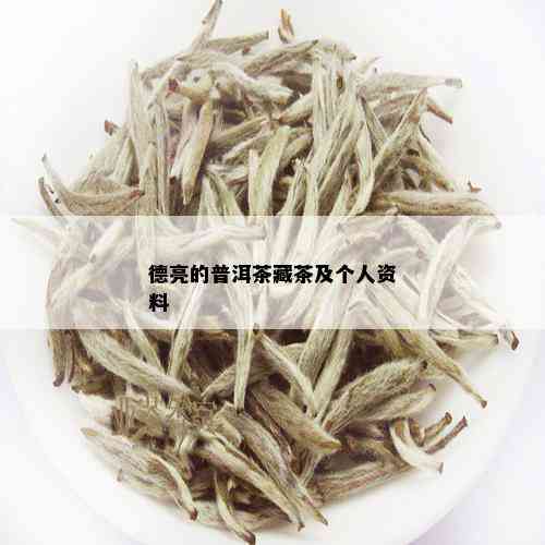 德亮的普洱茶藏茶及个人资料