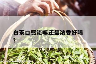 白茶口感淡嘛还是浓香好喝？