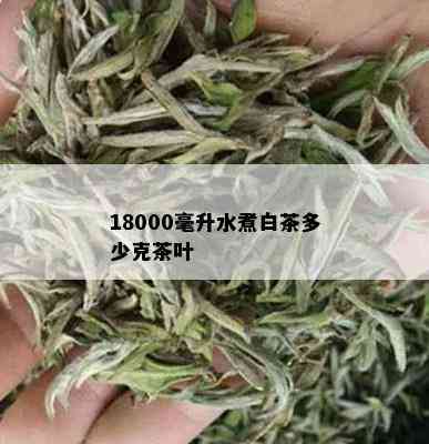 18000毫升水煮白茶多少克茶叶