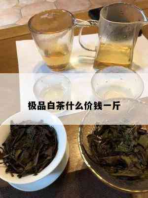 极品白茶什么价钱一斤