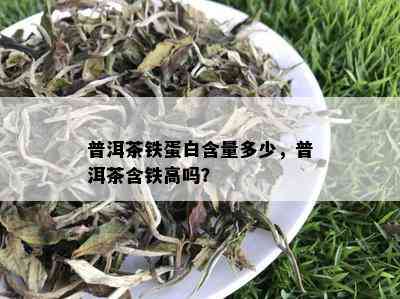 普洱茶铁蛋白含量多少，普洱茶含铁高吗？