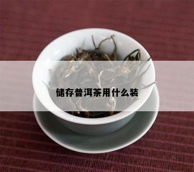 储存普洱茶用什么装