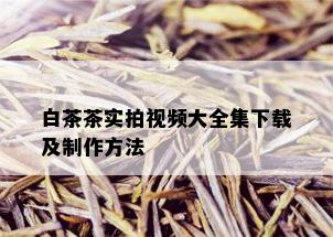 白茶茶实拍视频大全集下载及制作方法