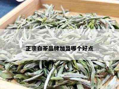 正宗白茶品牌加盟哪个好点