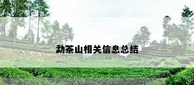 勐茶山相关信息总结