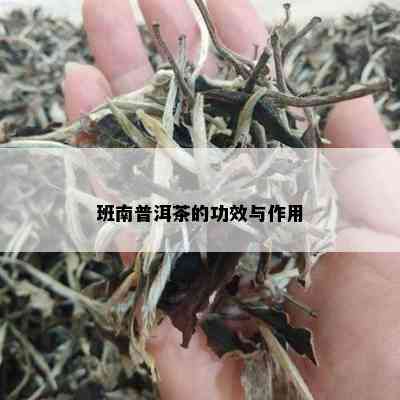 班南普洱茶的功效与作用