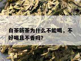 白茶新茶为什么不能喝，不好喝且不香吗？