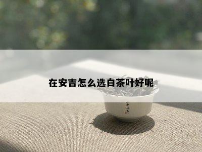 在安吉怎么选白茶叶好呢