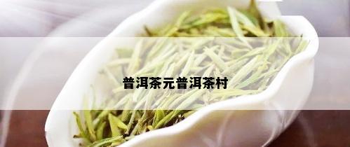 普洱茶元普洱茶村