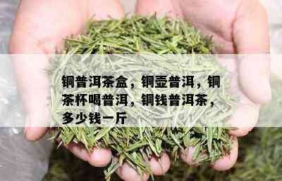 铜普洱茶盒，铜壶普洱，铜茶杯喝普洱，铜钱普洱茶，多少钱一斤