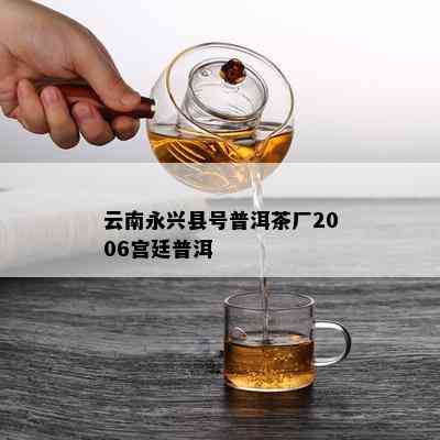 云南永兴县号普洱茶厂2006宫廷普洱