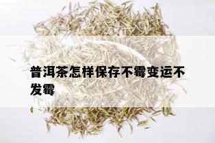 普洱茶怎样保存不霉变运不发霉