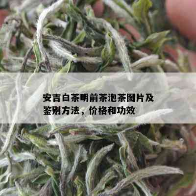 安吉白茶明前茶泡茶图片及鉴别方法，价格和功效