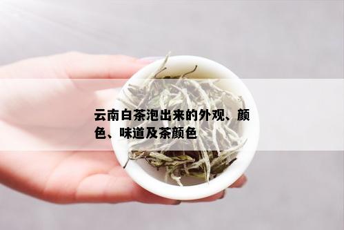 云南白茶泡出来的外观、颜色、味道及茶颜色