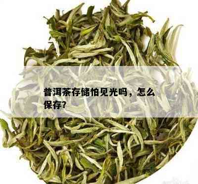 普洱茶存储怕见光吗，怎么保存？