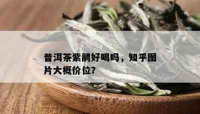 普洱茶紫鹃好喝吗，知乎图片大概价位？